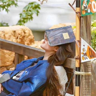 我杀了安迪·沃霍尔